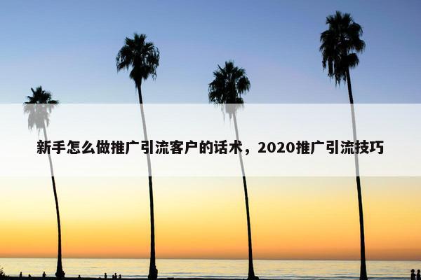 新手怎么做推广引流客户的话术，2020推广引流技巧