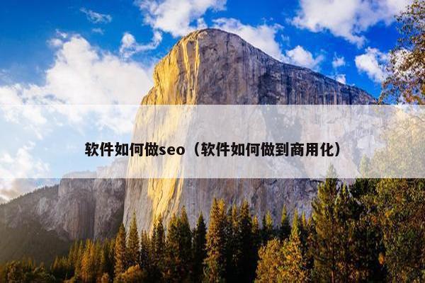 软件如何做seo（软件如何做到商用化）