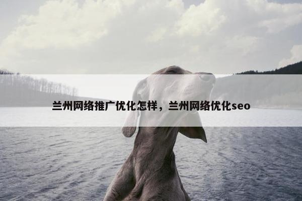 兰州网络推广优化怎样，兰州网络优化seo