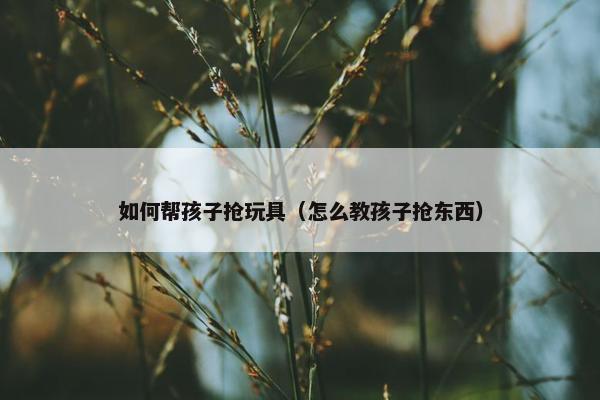 如何帮孩子抢玩具（怎么教孩子抢东西）