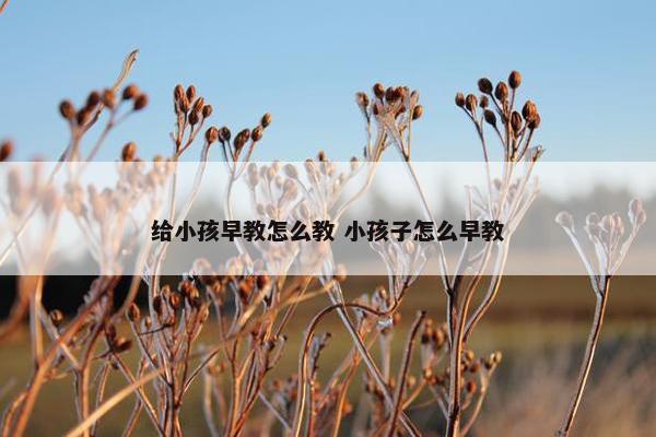 给小孩早教怎么教 小孩子怎么早教