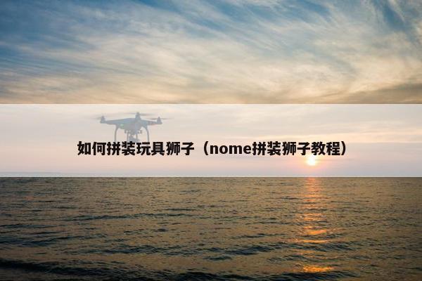 如何拼装玩具狮子（nome拼装狮子教程）