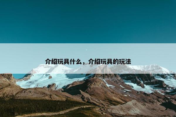 介绍玩具什么，介绍玩具的玩法