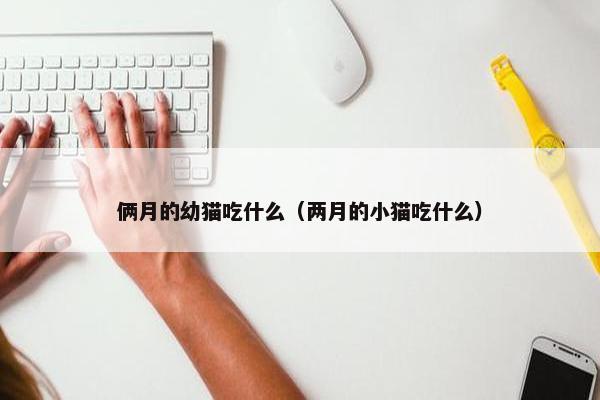 俩月的幼猫吃什么（两月的小猫吃什么）