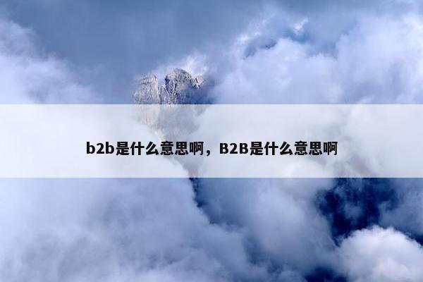 b2b是什么意思啊，B2B是什么意思啊