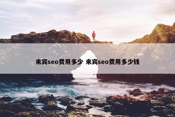 来宾seo费用多少 来宾seo费用多少钱