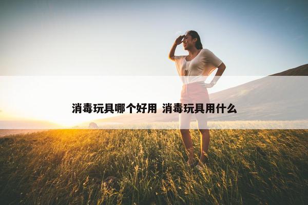 消毒玩具哪个好用 消毒玩具用什么