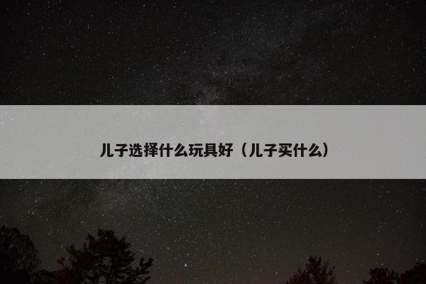 儿子选择什么玩具好（儿子买什么）