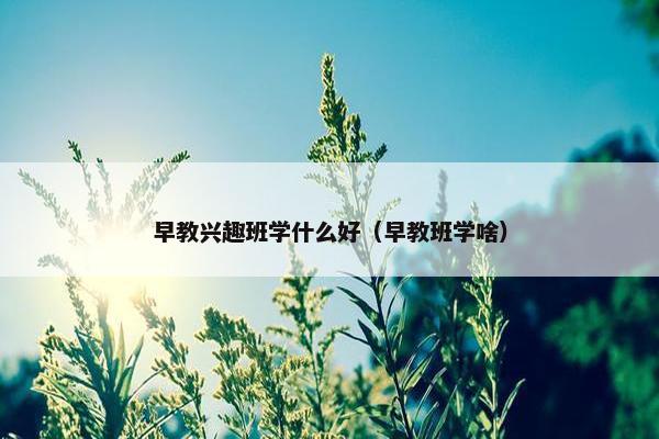 早教兴趣班学什么好（早教班学啥）