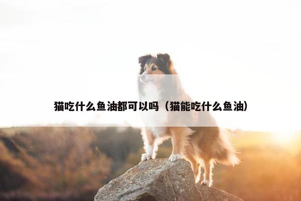 猫吃什么鱼油都可以吗（猫能吃什么鱼油）