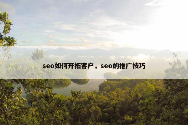 seo如何开拓客户，seo的推广技巧