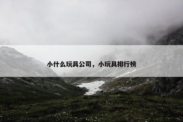 小什么玩具公司，小玩具排行榜