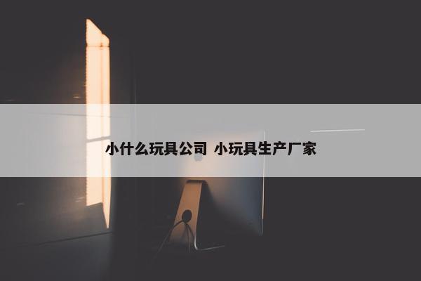 小什么玩具公司 小玩具生产厂家