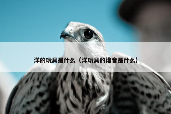 洋的玩具是什么（洋玩具的谐音是什么）