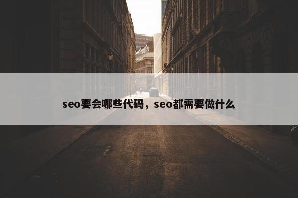 seo要会哪些代码，seo都需要做什么