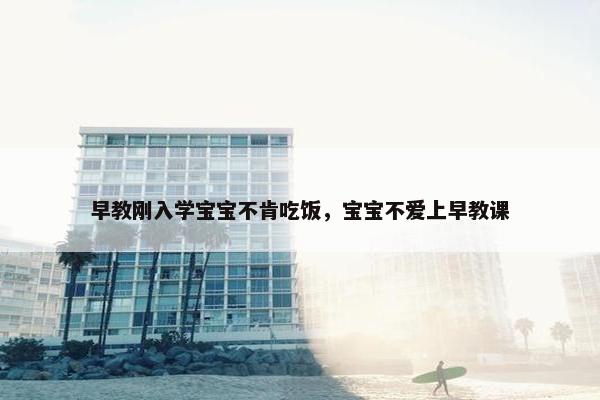 早教刚入学宝宝不肯吃饭，宝宝不爱上早教课