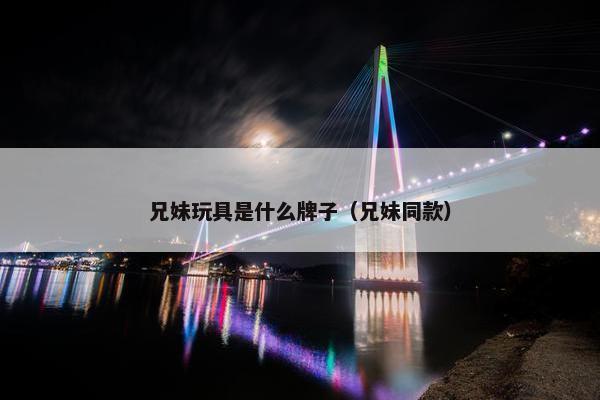 兄妹玩具是什么牌子（兄妹同款）