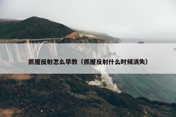 抓握反射怎么早教（抓握反射什么时候消失）