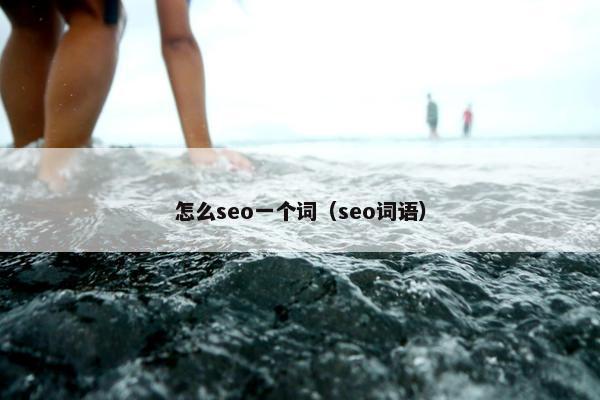 怎么seo一个词（seo词语）