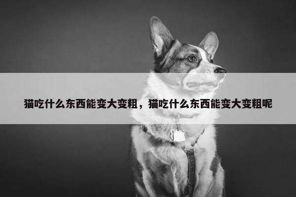 猫吃什么东西能变大变粗，猫吃什么东西能变大变粗呢