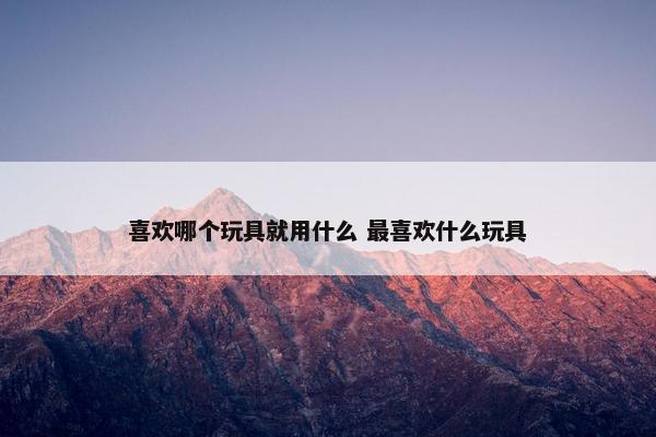 喜欢哪个玩具就用什么 最喜欢什么玩具