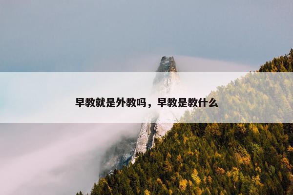 早教就是外教吗，早教是教什么