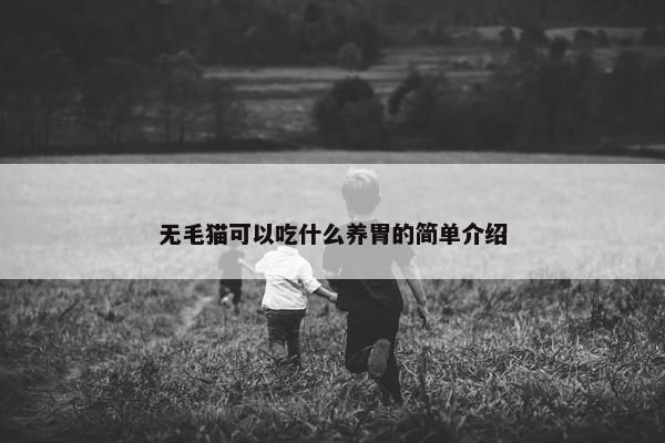 无毛猫可以吃什么养胃的简单介绍