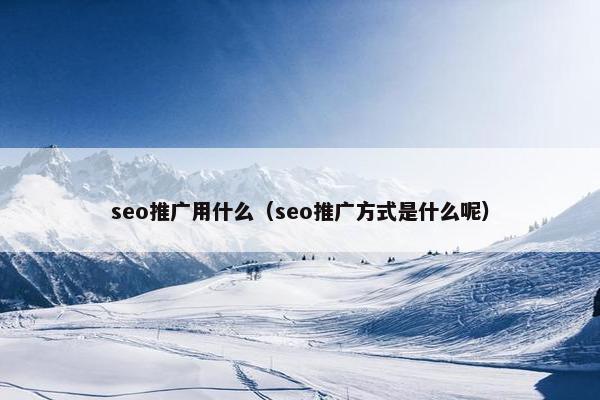 seo推广用什么（seo推广方式是什么呢）