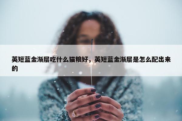 英短蓝金渐层吃什么猫粮好，英短蓝金渐层是怎么配出来的