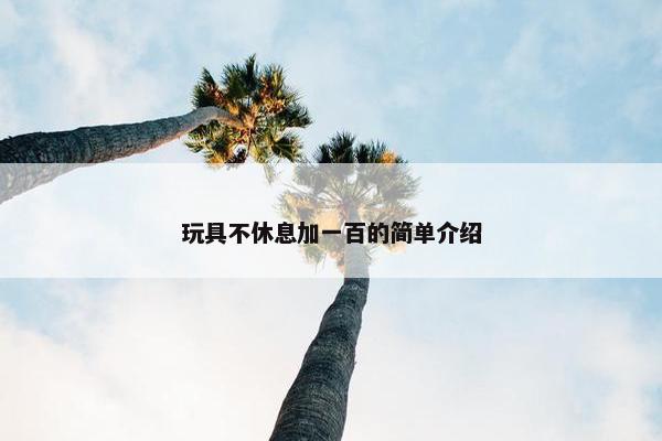 玩具不休息加一百的简单介绍