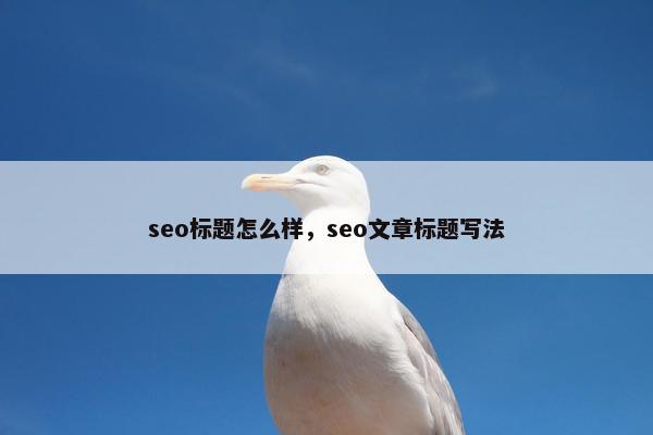 seo标题怎么样，seo文章标题写法