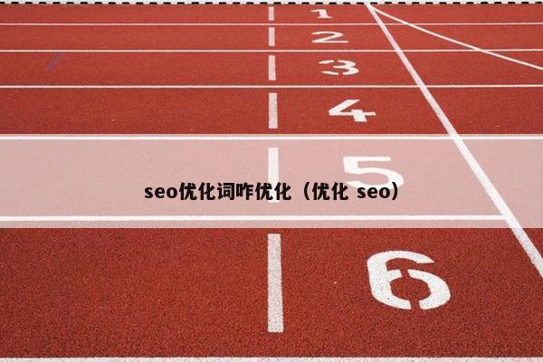 seo优化词咋优化（优化 seo）