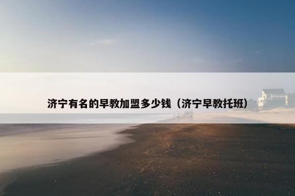 济宁有名的早教加盟多少钱（济宁早教托班）