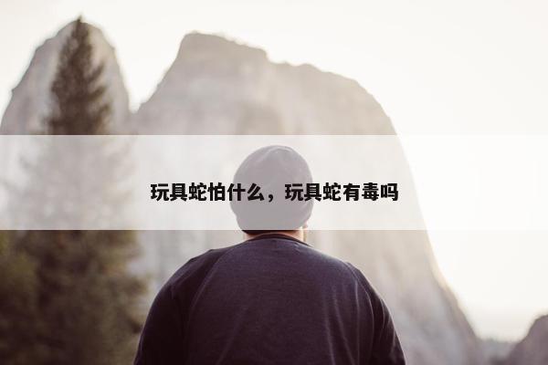 玩具蛇怕什么，玩具蛇有毒吗