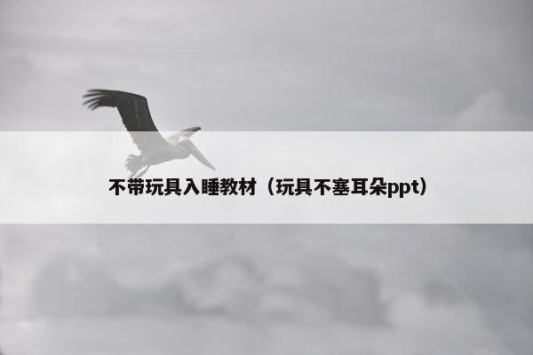 不带玩具入睡教材（玩具不塞耳朵ppt）