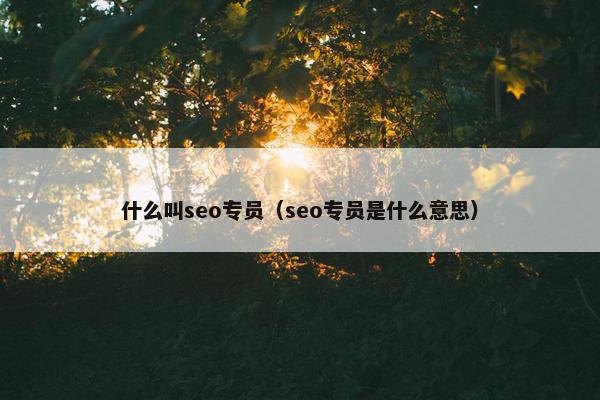 什么叫seo专员（seo专员是什么意思）