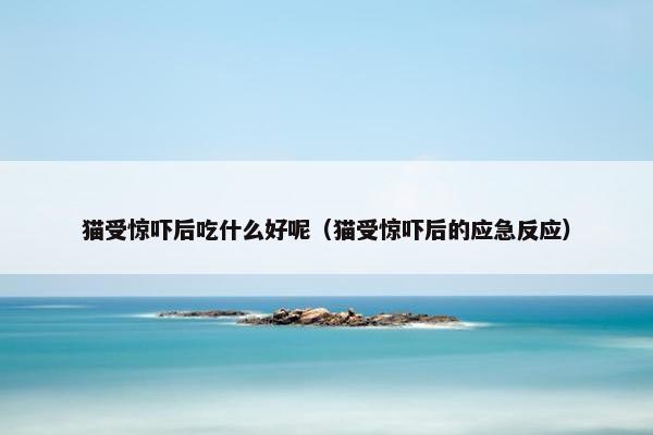 猫受惊吓后吃什么好呢（猫受惊吓后的应急反应）