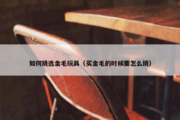 如何挑选金毛玩具（买金毛的时候要怎么挑）