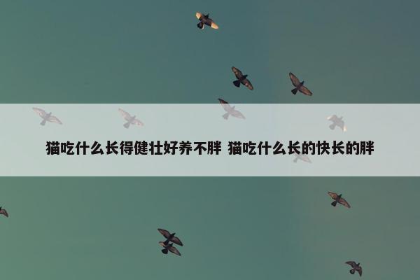 猫吃什么长得健壮好养不胖 猫吃什么长的快长的胖