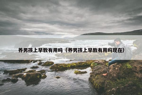 养男孩上早教有用吗（养男孩上早教有用吗现在）