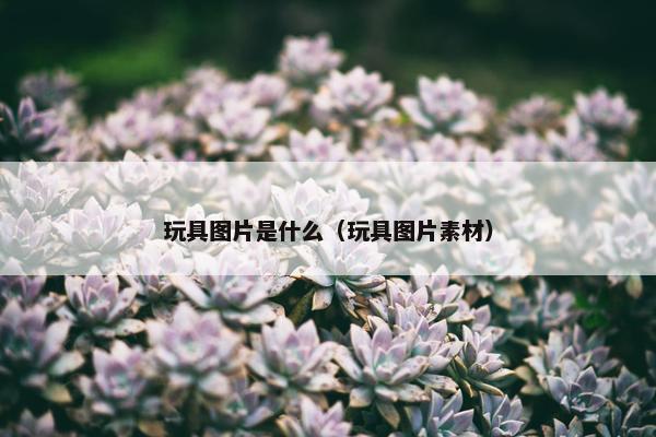 玩具图片是什么（玩具图片素材）