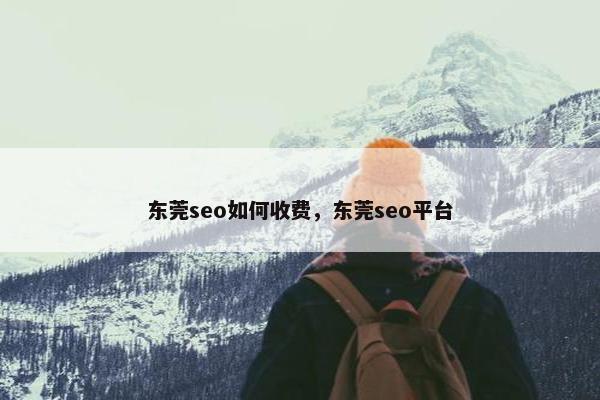 东莞seo如何收费，东莞seo平台