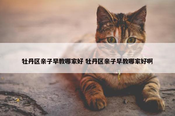 牡丹区亲子早教哪家好 牡丹区亲子早教哪家好啊