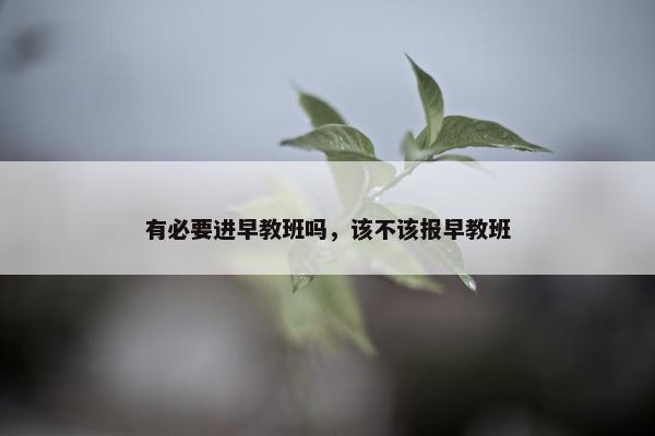 有必要进早教班吗，该不该报早教班