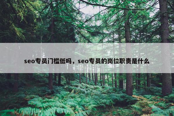 seo专员门槛低吗，seo专员的岗位职责是什么