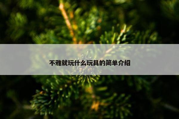 不雅就玩什么玩具的简单介绍