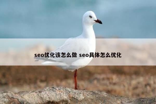 seo优化该怎么做 seo具体怎么优化