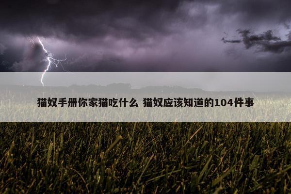 猫奴手册你家猫吃什么 猫奴应该知道的104件事