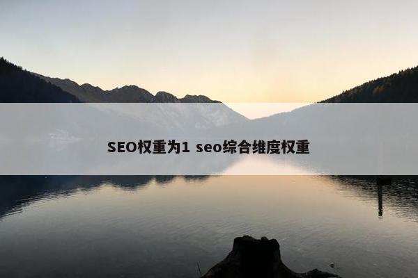 SEO权重为1 seo综合维度权重