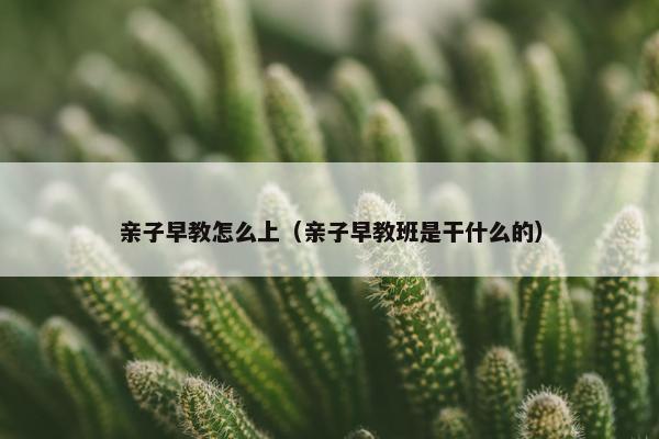 亲子早教怎么上（亲子早教班是干什么的）